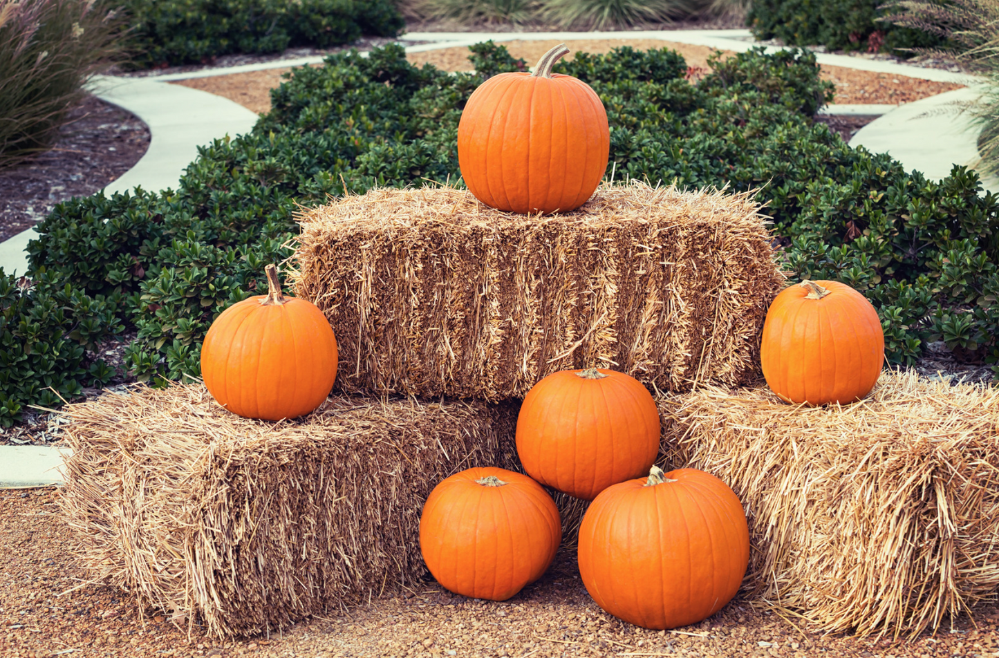 Hay Bale