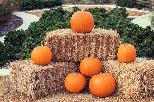 Hay Bale