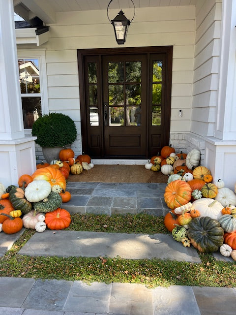 #5 - Showstopper Porch